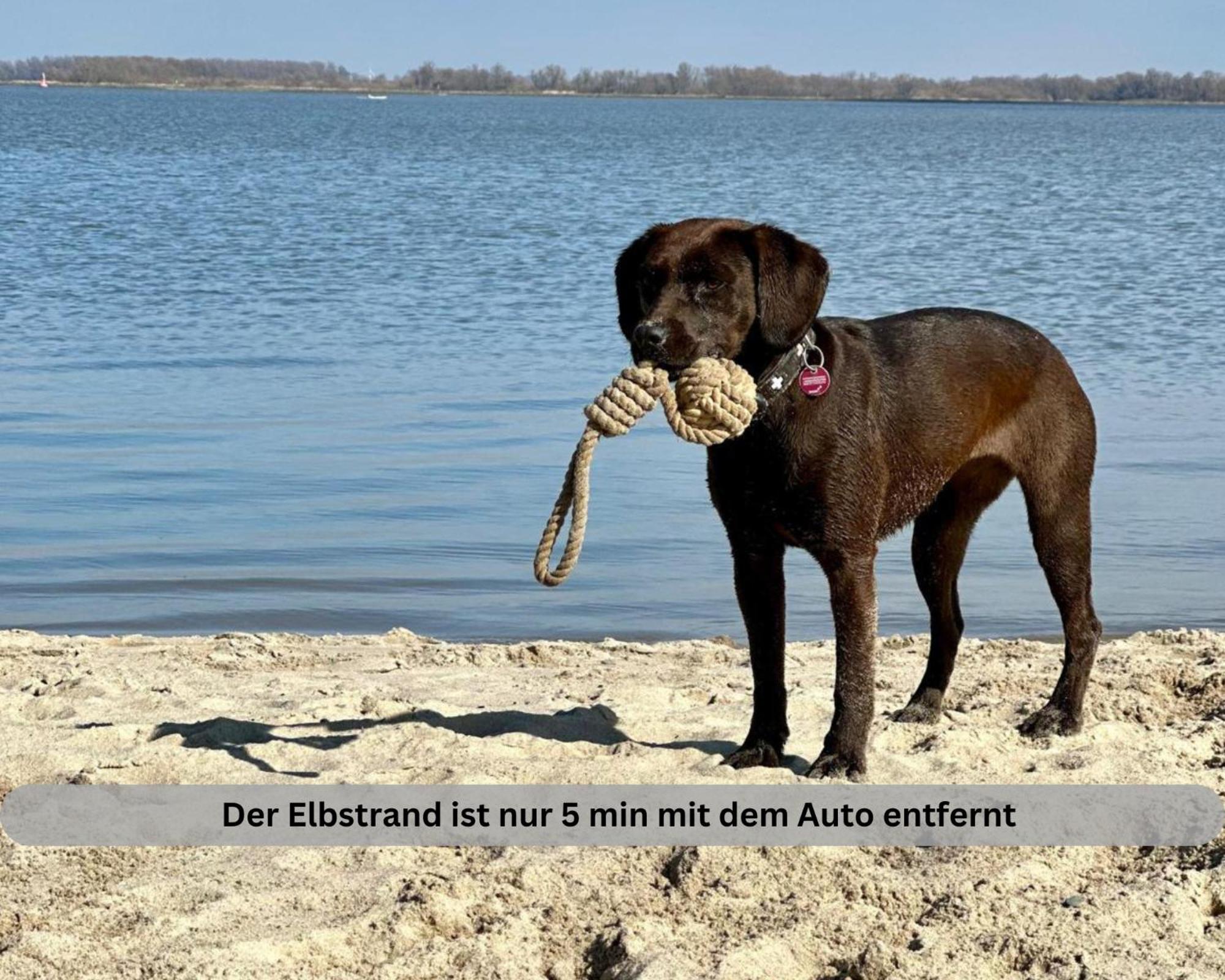 Lodge Of Africa - Einzigartige Themenzimmer, Eingezaeunten Garten, Sauna, Whirlpool & Kamin, Hunde Willkommen, Gasgrill, Voll Ausgestattete Kueche, Grosser Essbereich, Hamburg & Stade In Der Naehe Twielenfleth Eksteriør billede